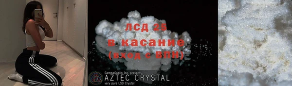 шишки Рославль
