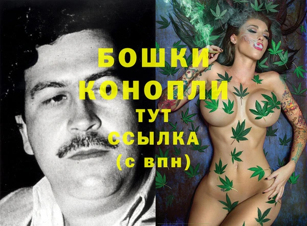 гидра Алексин