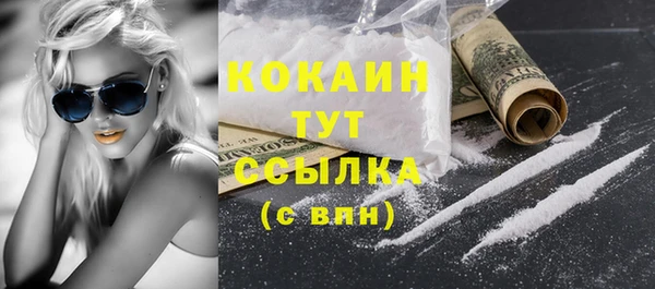 шишки Рославль