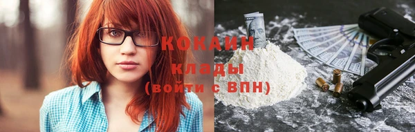 шишки Рославль
