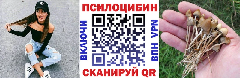 цены мега зеркало Галлюциногенные грибы ЛСД Славск